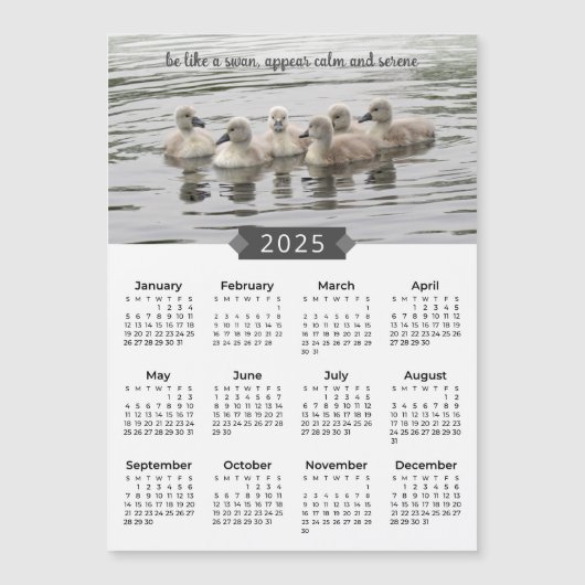 2025 Kalender Baby Zwanen Fotomagneet (Voorkant)