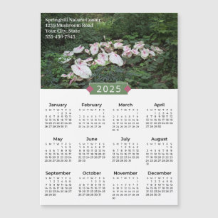 2025 Kalender Caladium Foto Promo Magneet