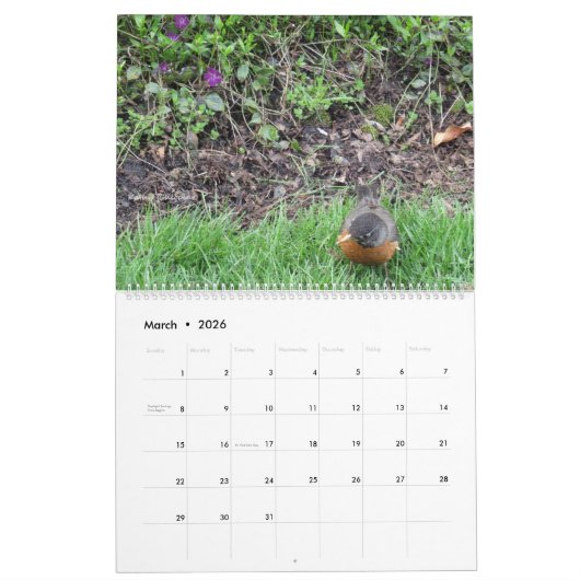 2025 Kalender De Vier Seizoenen in Illinois (Mar 2026)