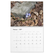 2025 Kalender De Vier Seizoenen in Illinois (Feb 2027)