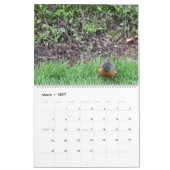 2025 Kalender De Vier Seizoenen in Illinois (Mar 2027)