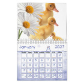 2025 Kalender eenden Daisy Floral (Jan 2027)