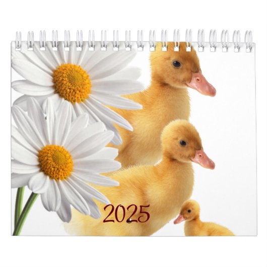 2025 Kalender eenden Daisy Floral (Hoes)