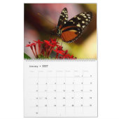 2025 Kalender met Vlinders Vlinder (Jan 2027)