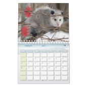 2025 Kalender Opossum Natuur Wildlife (Feb 2027)