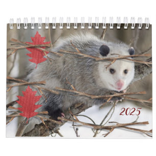 2025 Kalender Opossum Natuur Wildlife
