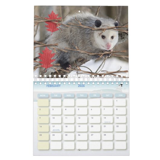 2025 Kalender Opossum Natuur Wildlife (Feb 2026)