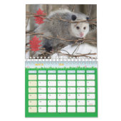 2025 Kalender Opossum Natuur Wildlife (Mar 2026)