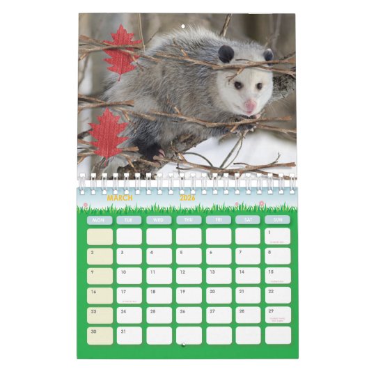 2025 Kalender Opossum Natuur Wildlife (Mar 2026)
