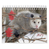 2025 Kalender Opossum Natuur Wildlife (Hoes)