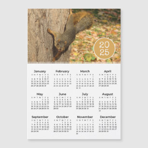 2025 Kalender Schattigee Eekhoorn Fotomagneet