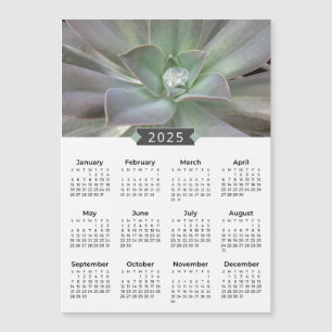 2025 Kalender Succulent Fotomagneet