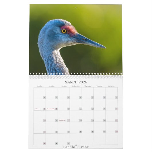 2025 Kalender van Bodkin's Best Photography (Mar 2026)