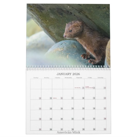 2025 Kalender van Bodkin's Best Photography (Jan 2026)