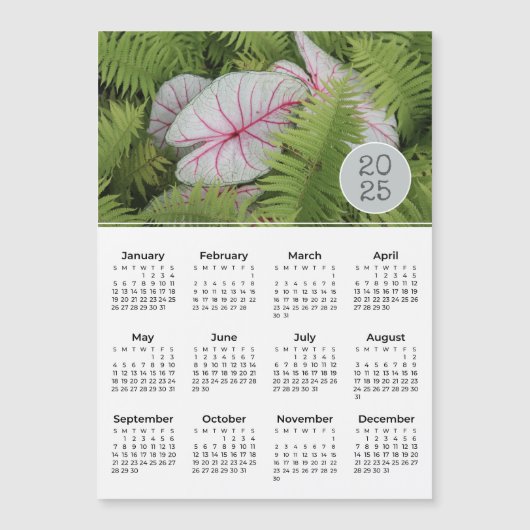 2025 Kalender Varens & Caladium Fotomagneet (Voorkant)
