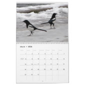 2025 Kalender Wereld van de Vogels (Mar 2026)