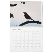 2025 Kalender Wereld van de Vogels (Jan 2027)