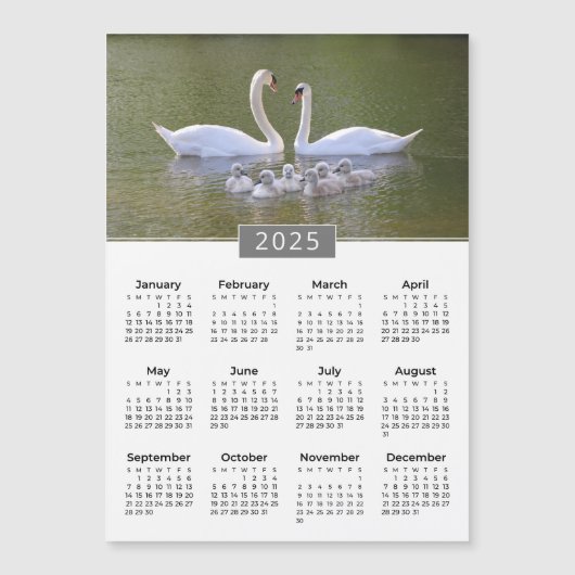 2025 Kalender Zwaan & Cygnets Magneet (Voorkant)