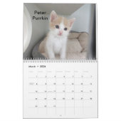 2025 Katten van het Oklahoma City Animal Shelter Kalender (Mar 2026)