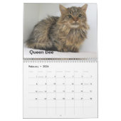 2025 Katten van het Oklahoma City Animal Shelter Kalender (Feb 2026)