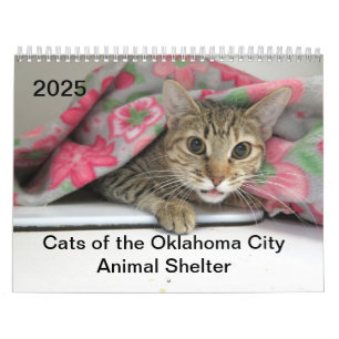 2025 Katten van het Oklahoma City Animal Shelter Kalender