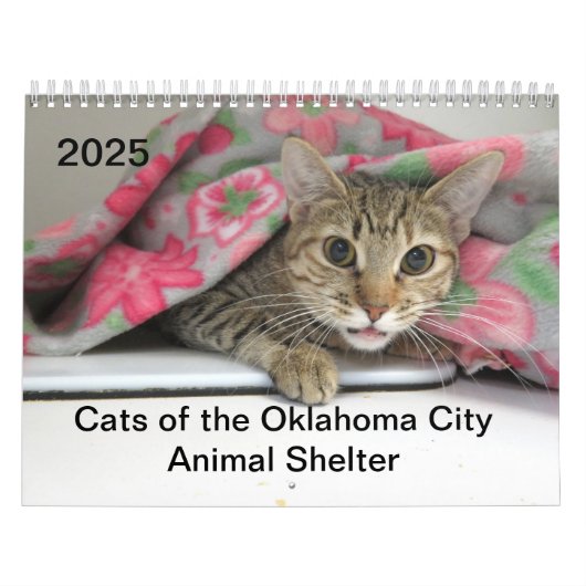 2025 Katten van het Oklahoma City Animal Shelter Kalender (Hoes)