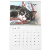 2025 Katten van het Oklahoma City Animal Shelter Kalender (Jan 2026)