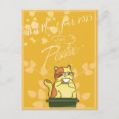 2025 Kattenkalender Briefkaart (Voorkant)