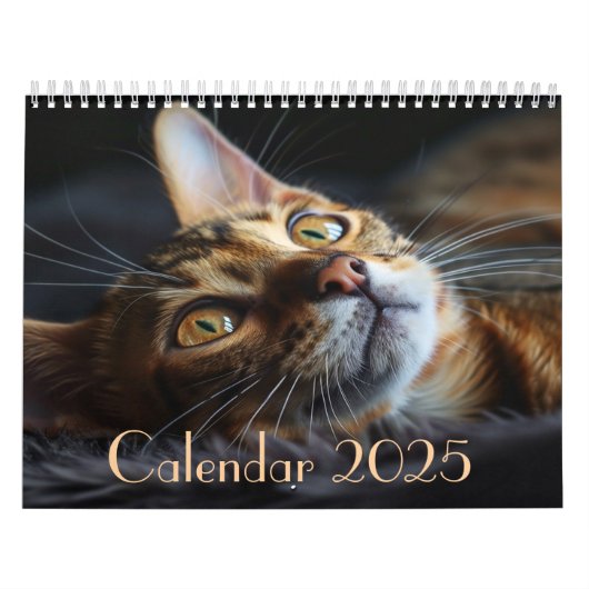 2025 kattenkalender met notities kalender (Hoes)