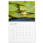 2025 Kikkers in Natuur Muurkalender Kalender (Mar 2026)