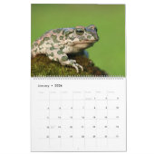 2025 Kikkers in Natuur Muurkalender Kalender (Jan 2026)