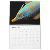 2025 Kleurrijke vis Kalender (Feb 2027)