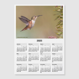 2025 Kolibrie 5x7" Magnetische Mini Kalender