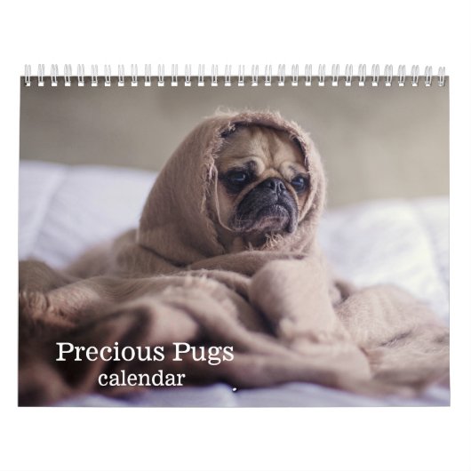 2025 Kostbare Pugs Kalender (Hoes)