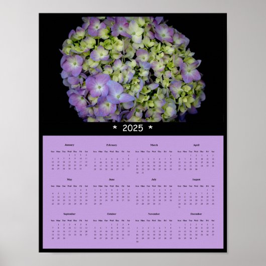 2025 Lente Bloemen Muurkalender Poster (Voorkant)