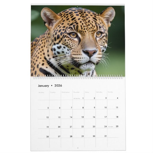 2025 Leopard Kalender (Jan 2026)