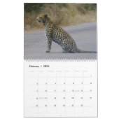 2025 Leopard Kalender (Feb 2026)