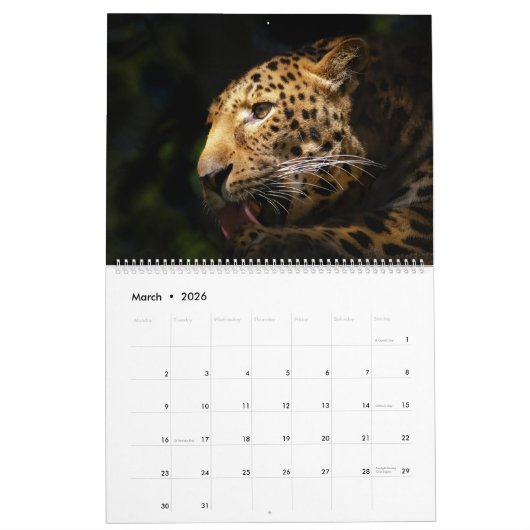 2025 Leopard Kalender (Mar 2026)