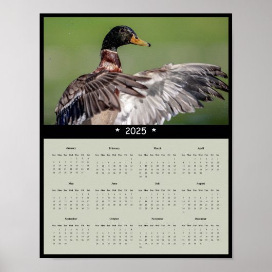 2025 Mallard Duck Wandkalender Poster (Voorkant)