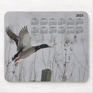 2025 Mallard in Flight Calendar door Janz Muismat