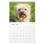 2025 Maltipoo Maltese puppy Kalender (Feb 2027)