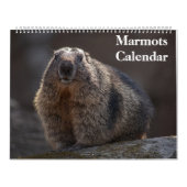 2025 Marmots Kalender (Hoes)