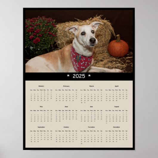 2025 Mixed Breed Hond Muur Kalender Poster (Voorkant)