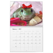 2025 Moeder van Kikkers Reddingskalender Kalender (Feb 2027)