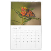 2025 Monarch Butterflies One Page Kalender (Feb 2027)