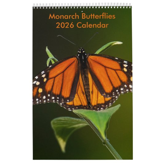 2025 Monarch Butterflies One Page Kalender (Hoes)