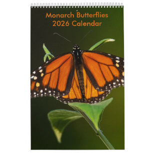 2025 Monarch Butterflies One Page Kalender