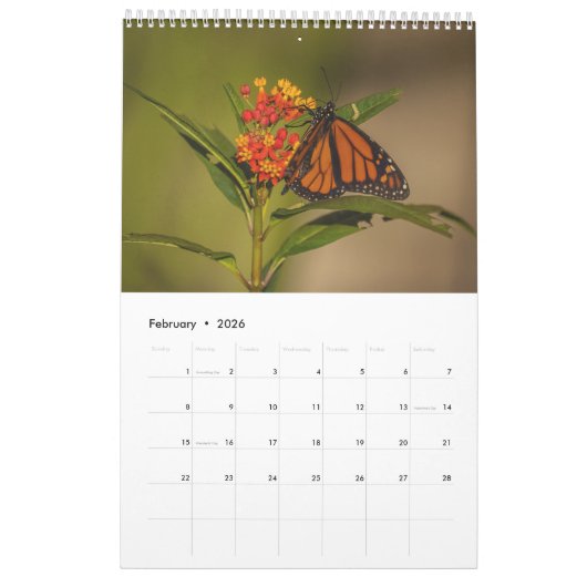 2025 Monarch Butterflies One Page Kalender (Feb 2026)