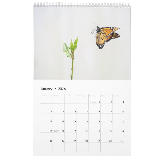 2025 Monarch Butterflies One Page Kalender (Jan 2026)