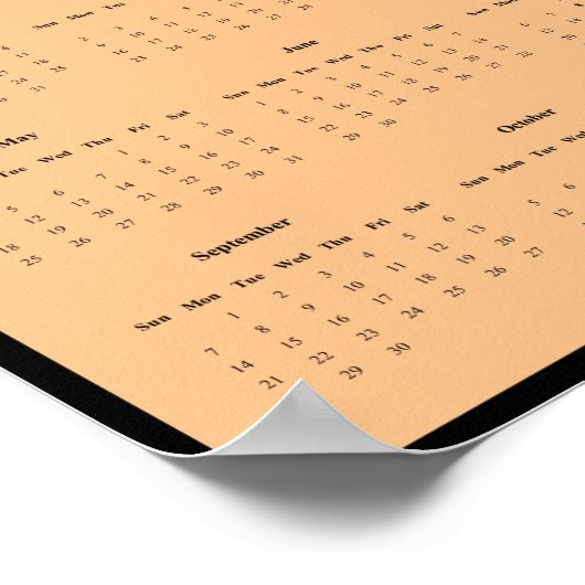 2025 Monarch Butterfly Wall Calendar Poster (Hoek)